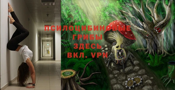 скорость Алзамай