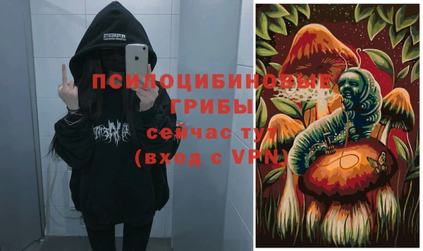 круглые Алексин