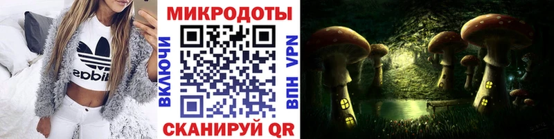 где продают наркотики  Оса  Галлюциногенные грибы ЛСД 